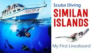 Similan Islands Diving: Dolphin Queen Liveaboard [2019] - Part 1