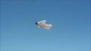 NEW DESIGN! watch WINGSUIT video  RcDepron.com