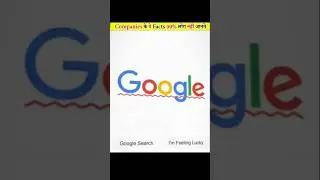 Amazing Facts About Multinational  companies