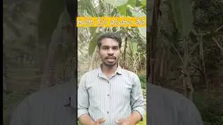 ఈబీసీ నేస్తం 2024 విడుదల తేదీ - EBC Nestham Release Date || Siva Ganesh Pasupuleti