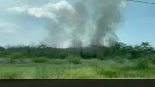 Bayou Sauvage Urban National Wildlife Refuge reopens to the public after fire