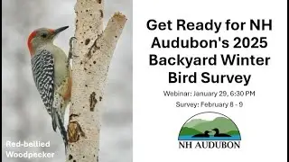 Backyard Winter Bird Survey Webinar 2025