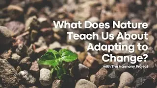 What Does Nature Teach Us About Adapting to Change? | The Harmony Project | Pure Land Foundation