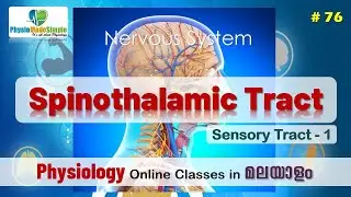 Ep.76 | Spinothalamic Tract | Nervous System | Malayalam
