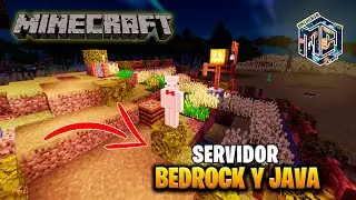 MINECRAFT SERIE SURVIVAL CON SUSCRIPTORES