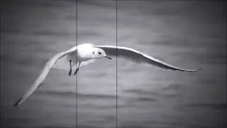 串間市歌_Bootleg Remix
