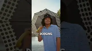 Dana Shine - Dodging Raindrops (Lyric Video)