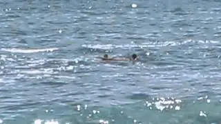 Surf & Rescue at Balangan Beach