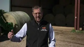 First Calf Heifers- How Are They Different?