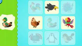 Birds | learning for kids | fun learning | colorful birds || @SmartKidsParadise