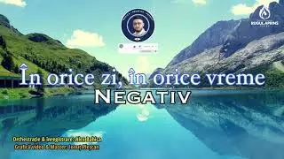 NEGATIV - În orice zi, în orice vreme