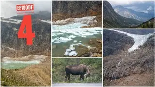Jasper | Episode 4 | Edith Cavell | Wildlife Tour | CANADA