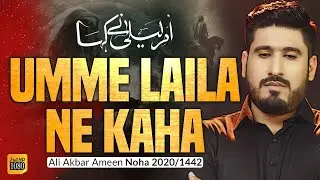 New Nohay 2020 | Aye Akbar | New Noha 2020 | Nohay 2020 | Ali Akbar Ameen | Noha Shahadat Ali Akbar
