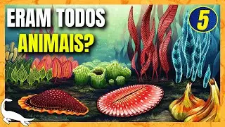 A EXPLOS&Atilde;O de AVALON e a BIOTA de EDIACARA  - Feat. @abcterra