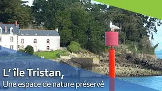 L' île Tristan