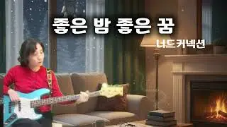 Nerd Connection(너드커넥션) - 좋은 밤 좋은 꿈 (Bass Cover) / 겨울 밤의 베이스 솔로