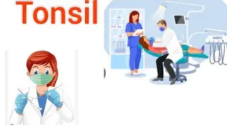 Tonsillectomy Surgical Instruments Names And Uses