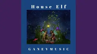 House Elf