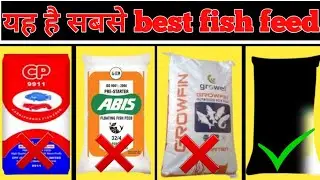 Konsi company ka fish feed hain sabse behtar . Best commercial fish feed .