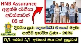 HNB Assurance Job Vacancies - 2025