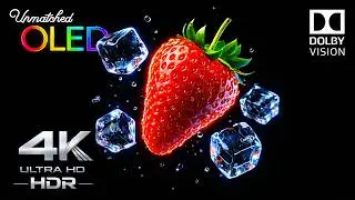 THIS OLED Test HDR 4K 120FPS Dolby Vision LOOKS UNMATCHED 🔥 (4K OLED Demo)
