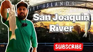River Island Striper & Catfish Fishing