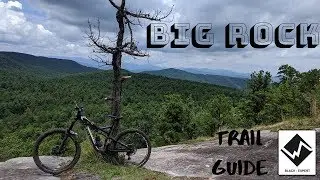 Big Rock (Dupont) Trail Guide