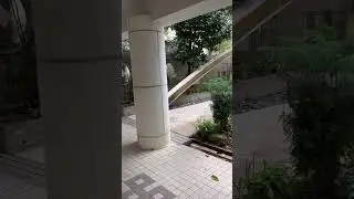 Tai Chi meditation at Hong Kong&rsquo;s Tai Chi Garden. Gentle power, deep calm.#taichi  #hongkong