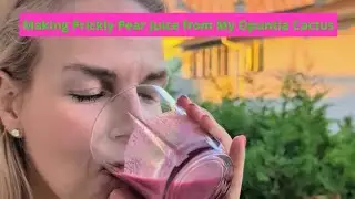 Making Prickly Pear Juice from My Opuntia Cactus Not in the Desert (How Can I Describe the Taste?)