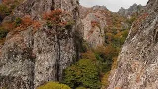 Vertical rock face beneath colorful canopy, Sheer cliffs surround lush autumn valley scenery