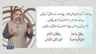 (II) - عدد و معدود | Number and Numeral - (2) | Arabic Through Quranic Text | ISL1151_Topic136
