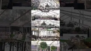 Luxurious Backyard Wedding Decor Setup! #destinationwedding #weddingvideo #luxuriouswedding