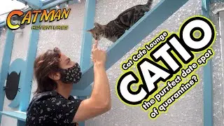 CAT CAFE CATIO: THE PURRFECT QUARANTINE DATE SPOT? Catman Adventures