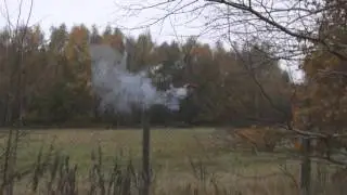 Halloween spezial - Kanonenschlag, Reiber und  Knallfr&ouml;sche im Vergleich