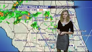 Weather Forecasting Reel