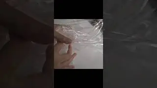 Crinkle Dog Toy DIY 💖🐶🐾