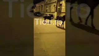 Cai la plimbare &icirc;n Cartierul Fabric