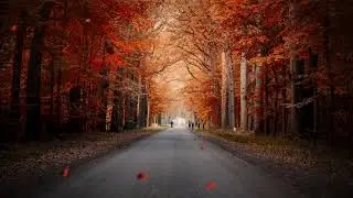 Autumn Splendour