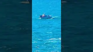 Наблюдение за китами