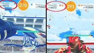 Oh No! Ditto transform into max out primal Pok&eacute;mon