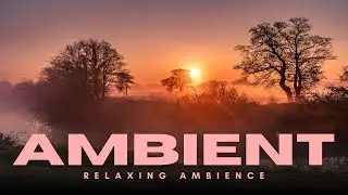 Ambient Sleep Music | Floating Textures for Relaxation