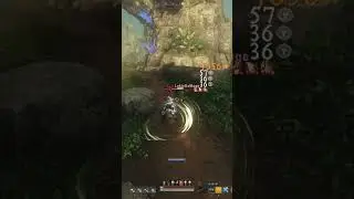 ABSOLUTELY INSANE RAPIER DAMAGE! NEW WORLD PVP