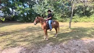Audria on Tonka, Arena-Open,  Turning on the front