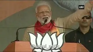 Wah Modi ji wah | CAA | NRC | CAB | JNU |PM Narendra Modi| Hospice ki bhi sima hoti hai | Nalla Paav