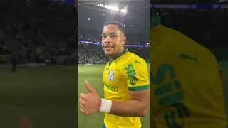 🐯💚 VITOR ROQUE: 