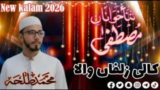 NEW kalam hafiz talha usman .Kali zulfaa wala dhukhai dilla da sahara.2026 