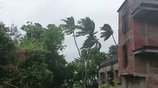 odisha dana Tropical Cyclone Dana#shorts #trending #viralvideo #cyclone