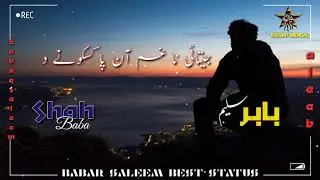 Babar saleem new stutas.