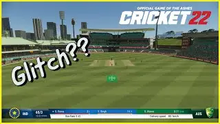 Camera Zooming Out Issue | Cricket 22