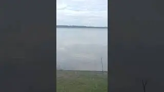 озеро в лесу#природа#лес#funny